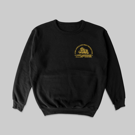 Long Sleeve Crewneck Sweater